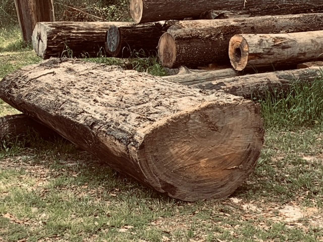 sinker cypress logs